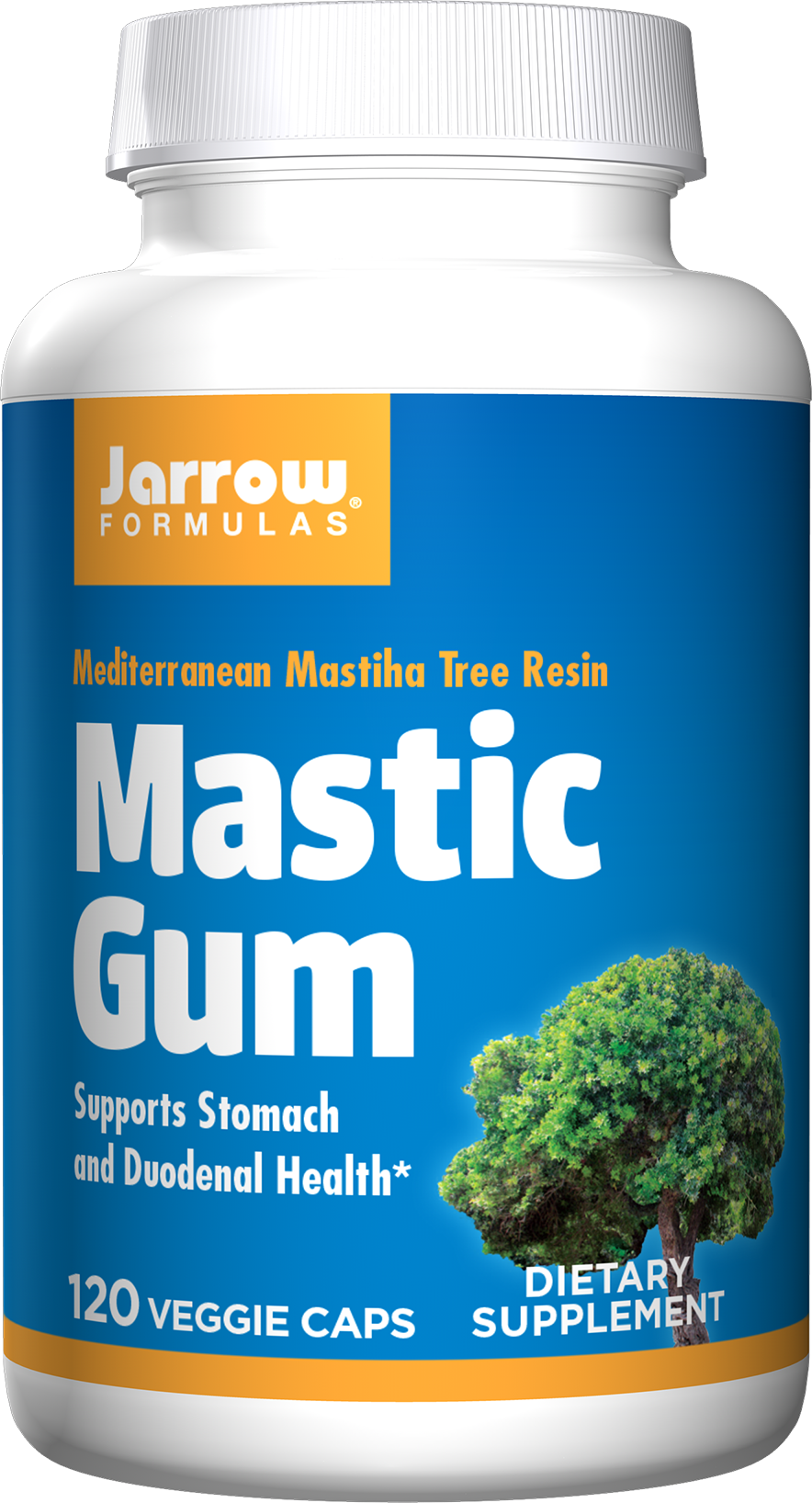 Mastic Gum